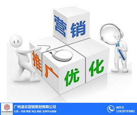 凌志營銷策劃 番禺區(qū)營銷型網(wǎng)頁建設(shè)與軟件開發(fā)，優(yōu)質(zhì)商家首選